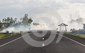 Smoke from burning dry grass on the roadside