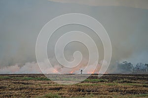 Smoke from burning. Farmers burn rice straw to prepare to plant rice for the next season. Toxic effect resulting from burning of