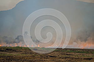 Smoke from burning. Farmers burn rice straw to prepare to plant rice for the next season. Toxic effect resulting from burning of