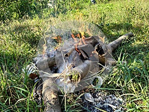 smoke from burning garbage which is one of the causes of global warming