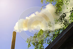 Smoke from the chimney of a house next to a birch tree against a blue sky
