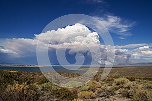 Smoke and cloud from forest fire