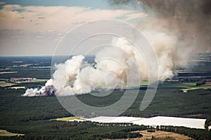 Smoke clouds and fire spread of a fire in the trees / forest - aerial view photo