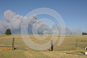 Smoke column from wildfire