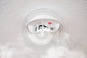 Smoke detector or fire alarm