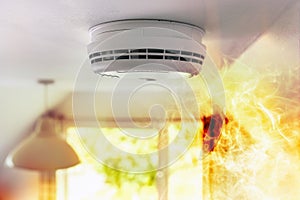 Smoke detector and interlinked fire alarm on ceiling in action background