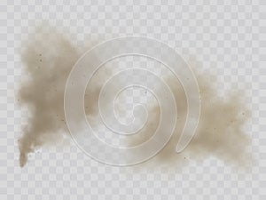 Smoke or dust clouds isolated realistic vector