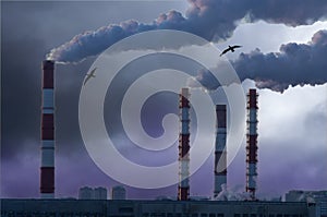 Smoke from the factory chimney against the background of birds and clouds. The concept of atmospheric pollution