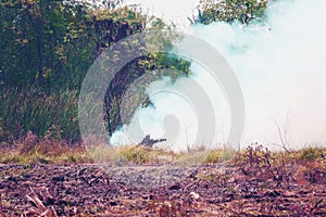 Smoke field and fireman burning wildfire