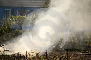 Smoke from fire in the garden at the cottage