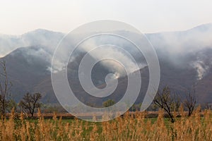 Smoke from a forest fire rises above the mountains of Sikhote-Alin ridge in Primorsky Krai Russia