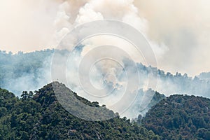 Smoke from a forest fire rising over Marmaris resort town of Turkey