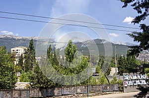 Forest fire, Yalta, Ukraine