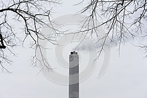 Smoke from industrial chimney with tree in foreground