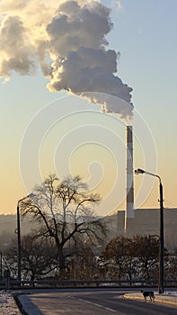 Smoke from industrial chimneys against the blue sky. Pollution