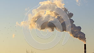 Smoke from industrial chimneys against the blue sky. Pollution