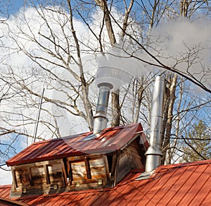 smoke from maple sugarhouse rooftop vents in early Spring boiling season photo