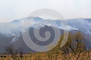 Smoke in the mountains over a forest fire