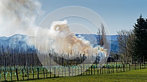Smoke from an orchard prunings burn off bonfire billowing into the air