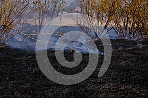 Smoke over burnt blackened grass after fire