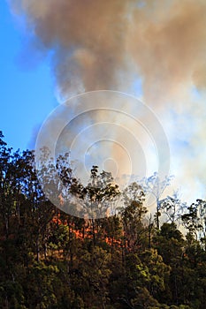 Smoke Rising from Bushfire