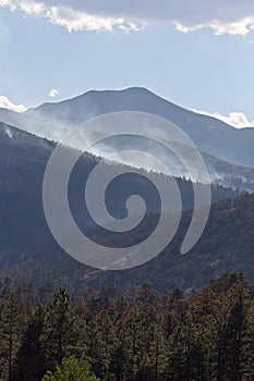 Smoke rising from the forest during the Schultz Fire near Flagstaff, Arizona. photo