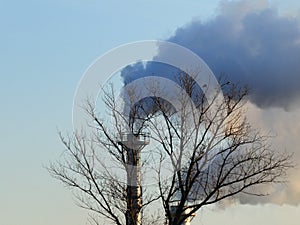 Smoke spews out of a chimney at an industrial plant near the trees