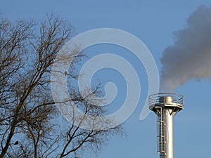 Smoke spews out of a chimney at an industrial plant near the trees with birds photo