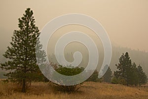 Smoke from Stickpin Fire