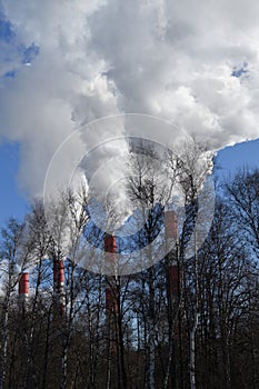 Smoke from Three pipes CHP against the background of trees at Moscow, Russia