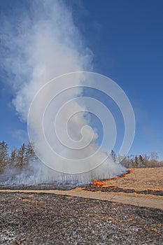 Smoke Tornado in a Controlled Prairie Burn