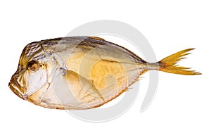 Smoked atlantic moonfish