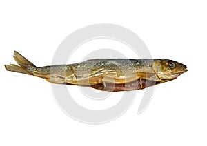 Smoked baikal omul on a white background