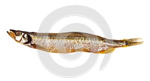 Smoked capelin isolated on white background