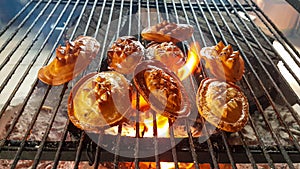 A smoked cheese made of salted sheep milk exclusively in the Tatra Mountains, Poland (oscypek) getting grilled