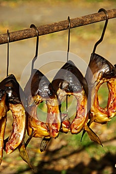 Smoked fish