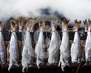 Smoked Fish Haddock