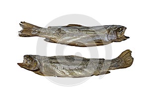 Smoked fish isolated on white. Dried kippered trout fish