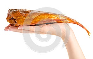 Smoked fish perch in hand