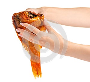 Smoked fish perch in hand