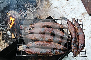 Smoked fish pike in smokehouse.