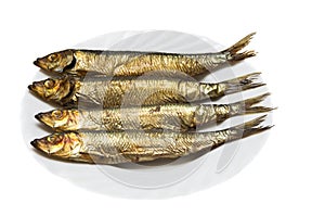 Smoked fish on plate on white background