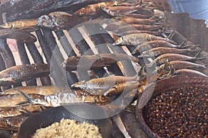 Smoked fish and toasted ant. A kind of food offered to tourist during visiting indigenous tribe in Brazil