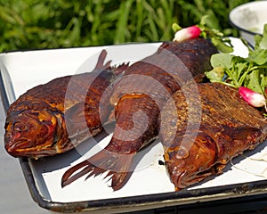 Smoked fish with young radish and parsley lies on the enameled pan