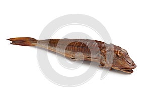 Smoked gurnard fish