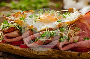 Smoked ham sandwich, rustic bread