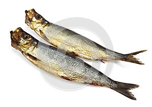 Smoked Herring or Bouffi Bloaster, clupea harengus, Smoked Fishes against White Background