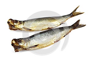 SMOKED HERRING OR BOUFFI BLOATER clupea harengus AGAINST WHITE BACKGROUND