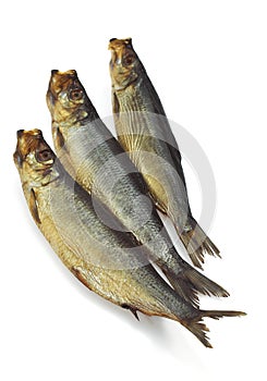 SMOKED HERRING OR BOUFFI BLOATER clupea harengus AGAINST WHITE BACKGROUND