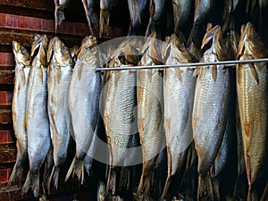 Smoked Herring - Kippers